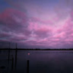 Meet your Posher, Liberty